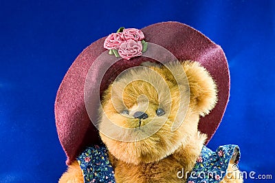Momma teddy bear with hat Stock Photo