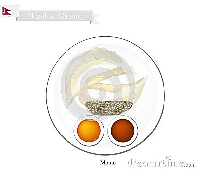 Momo or Nepalese Steam Dumplings with Sauce Vector Illustration