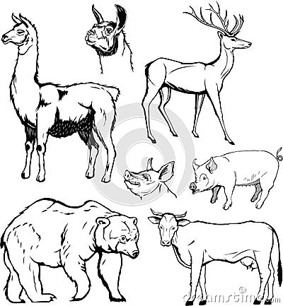 Vector, animal set, graphic, monogram, black, hand drawing, bear, cow, deer, pork, lama Vector Illustration