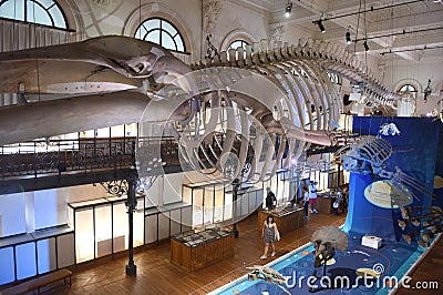 Monaco - June 23, 2019: Visitors in the Oceanographic Museum of Monaco Editorial Stock Photo