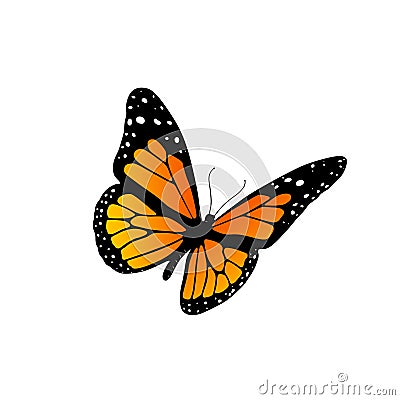 Monarch butterfly Stock Photo