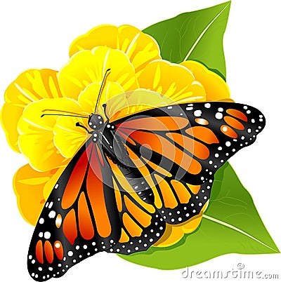 Monarch butterfly on the flower Vector Illustration