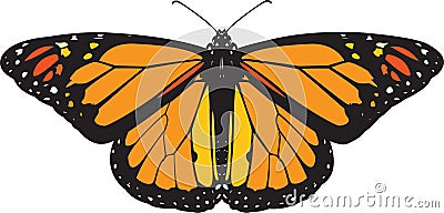 Monarch butterfly vector Vector Illustration