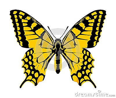 Monarch Butterfly vector with open wings. Cartoon Illustration