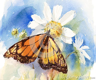 Monarch Butterfly Watercolor Illustration Hand Drawn Cartoon Illustration