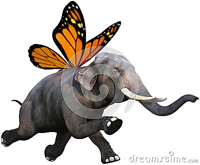 Monarch Butterfly Wings Elephant Isolated Stock Photo