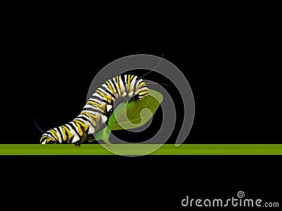 Monarch Caterpillar Stock Photo