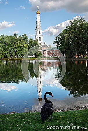 Monastery pond with a black swan and a reflection of the Nikolo-Ugreshsky Monastery of the Russian Orthodox Church Stock Photo