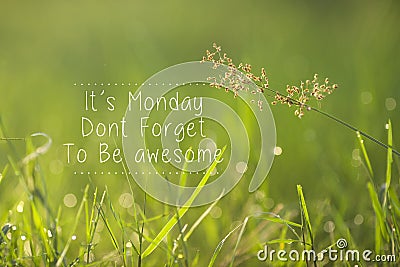 Monday inspirational greeting - Its Monday, don`t forget to be awesome Stock Photo