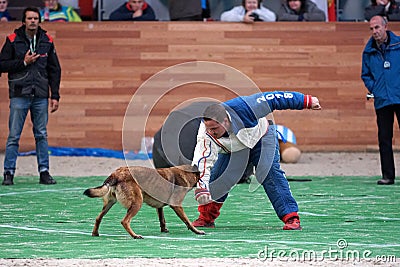 Mondioring World Championship 2018. Editorial Stock Photo