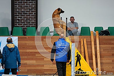 Mondioring World Championship 2018. Editorial Stock Photo