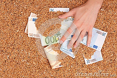 Monetary crop Stock Photo