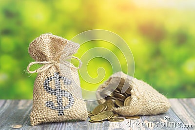 A money bag with dollar sign and bag with coins on green background. Concept of loan or business finance Stock Photo