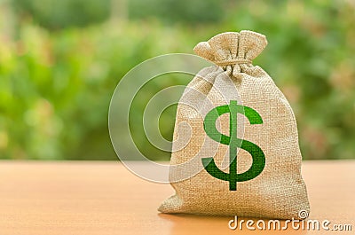 Money bag with dollar symbol on a nature background. Business, budget, financial transactions. Attracting investment to Stock Photo