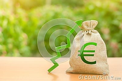 Money bag with Euro symbol and green up arrow. Increase profits and wealth. growth of wages. Favorable conditions for business Stock Photo