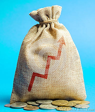 Money bag with up arrow. Successful business concept. Profitability and performance. Increase Income and Profit. Capital, budget Stock Photo