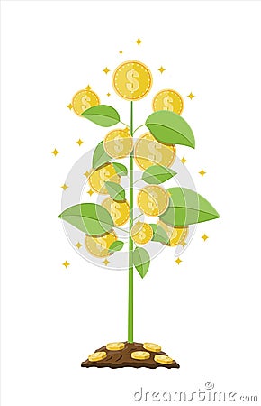 Money coin tree. Growing money tree. Vector Illustration