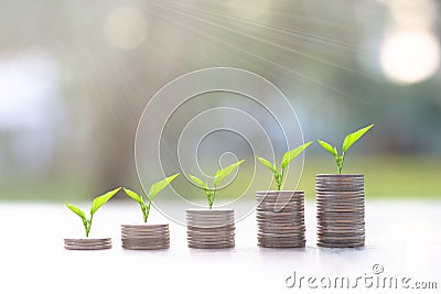 Money coins stacks with tree growing on top with sunlight .Saving money concept.Finance sustainable development Stock Photo