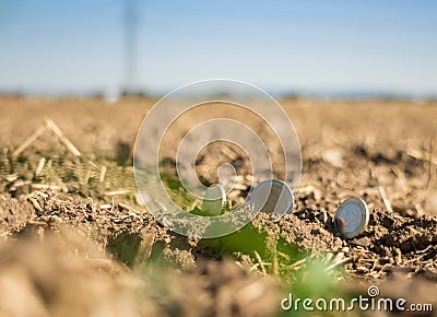 Money on crop land Stock Photo