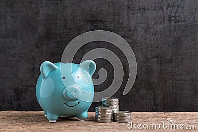 Money or finance saving concept, blue piggy bank with stack of c Stock Photo