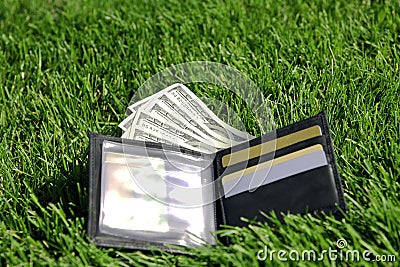 Money in grass Stock Photo