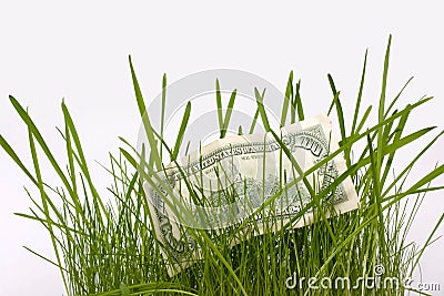 A money is in a grass Stock Photo
