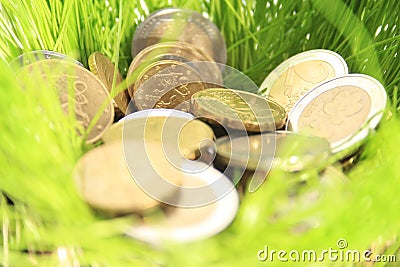 Money in grass. Stock Photo