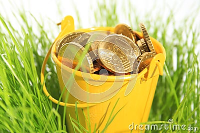 Money in grass. Stock Photo