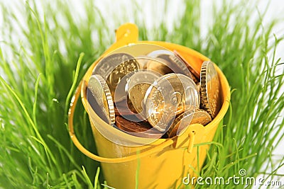 Money in grass. Stock Photo