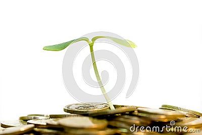 Money grow Stock Photo