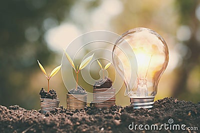 money growht small tree with light bulb on soil. concept saving energy Stock Photo