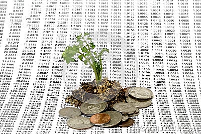 Money Growth Concept Stock Photo