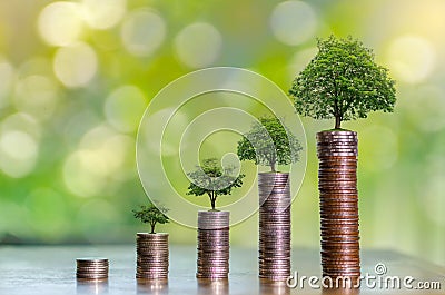 Money growth Saving money. Upper tree coins to shown concept of growing business Stock Photo