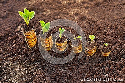 Money growth Stock Photo