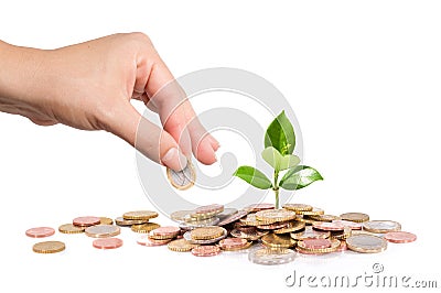 Money and plant with hand finance new business Stock Photo