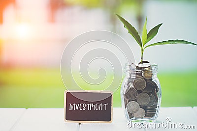 Money saving and investment financial concept. Plant growing in savings coins with text investment on small billboard on wooden ta Stock Photo