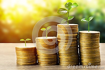 Money savings, investment, making money for future, financial wealth management concept. A plant growing on rising stacked coins Stock Photo