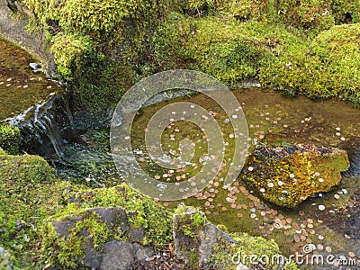 Money stream metaphor Stock Photo