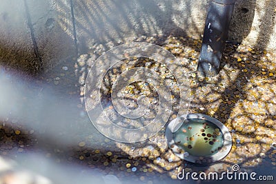 Money thrown into a well in the center of Nysa for luck. Stock Photo