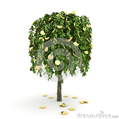 Money tree. Stock Photo