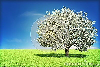 Money tree concept Stock Photo