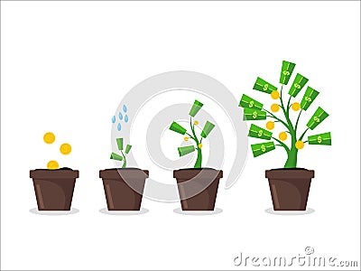 Money Tree Growing in Pot. Vector Vector Illustration