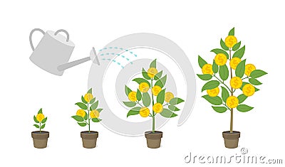 Money tree grows in a pot. Water from the watering can. Grow money. Contribution at interest. Cash grow up animation progression Cartoon Illustration