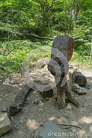 Money tree at Ingleton Waterfalls Trail in the UK Stock Photo