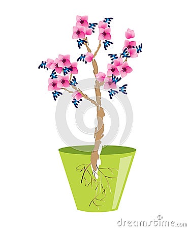 Money tree isolated Vector Illustration