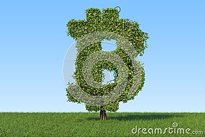 Money tree in the shape of bitcoin symbol on the green grass against blue sky, 3D rendering Stock Photo