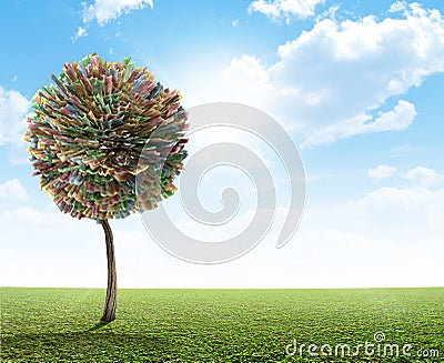Money Tree South African Rand Stock Photo