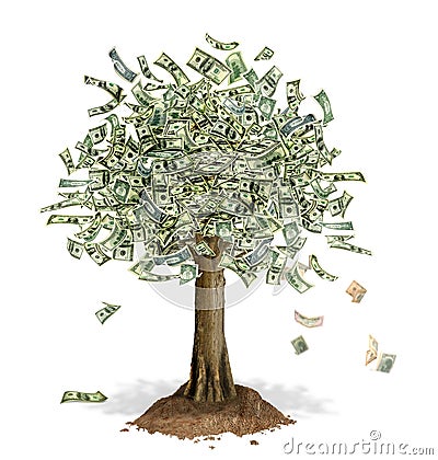 Money Tree with US Dollar banknotes in place of leaves. Stock Photo