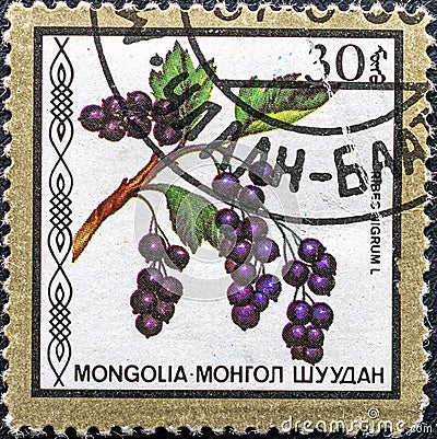 Post stamp shows black currant Editorial Stock Photo