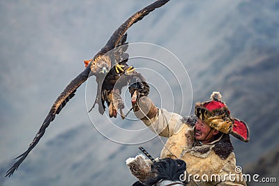 Mongolia, Golden Eagle Festival.Hunter On Horse With A Magnificent Golden Eagle, Spreading His Wings And Holding Its Prey. Editorial Stock Photo